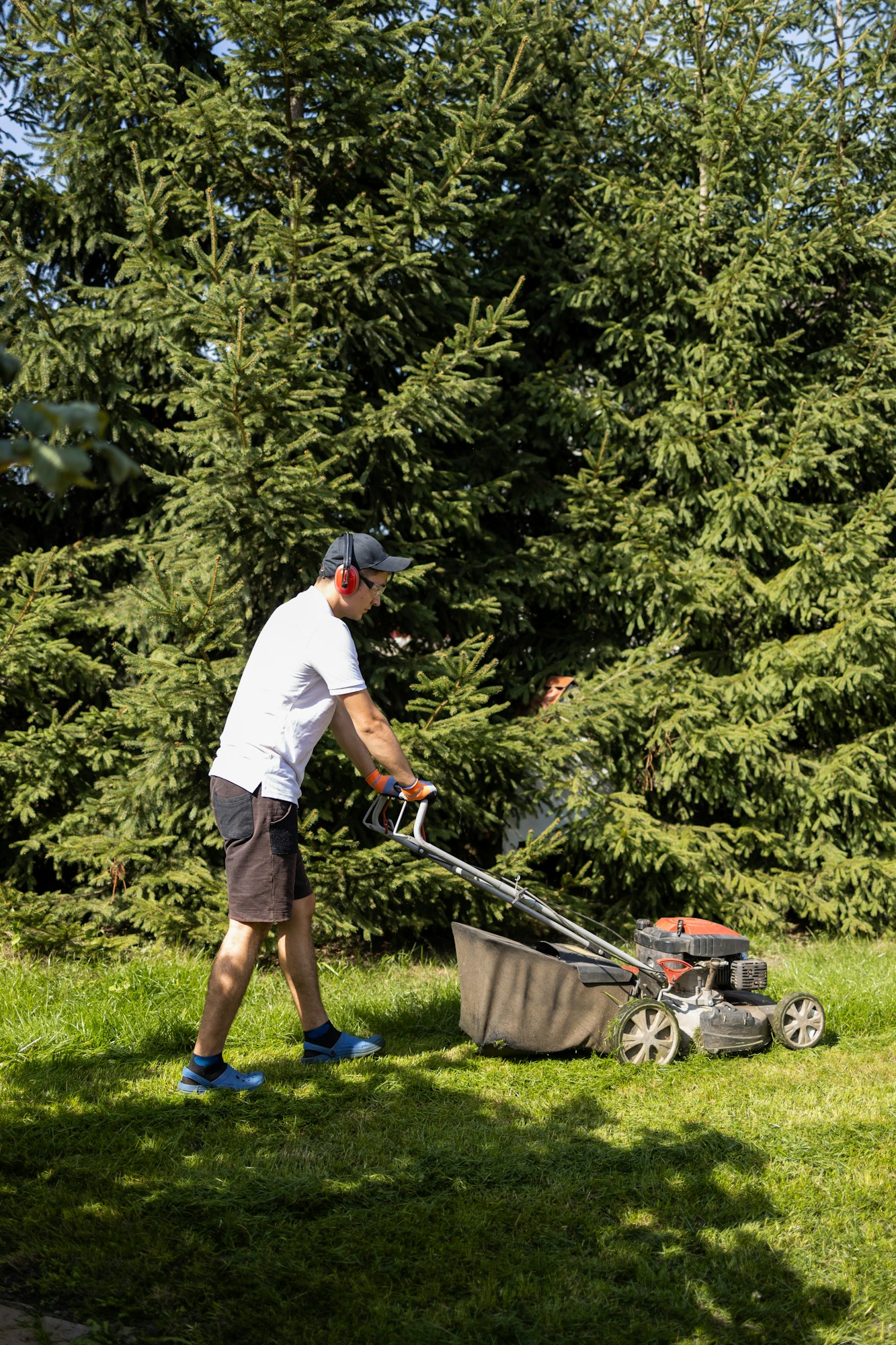 Gardener mowing the grass with a gasoline lawn mower