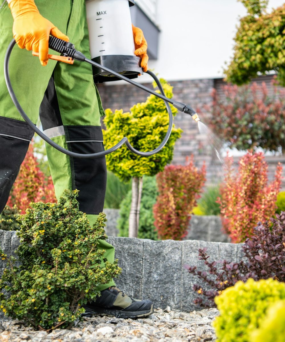 Garden Plants Pest-Control Treatment