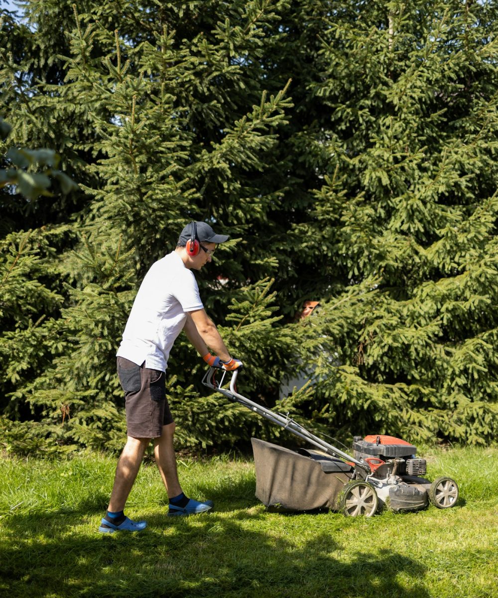 Gardener mowing the grass with a gasoline lawn mower
