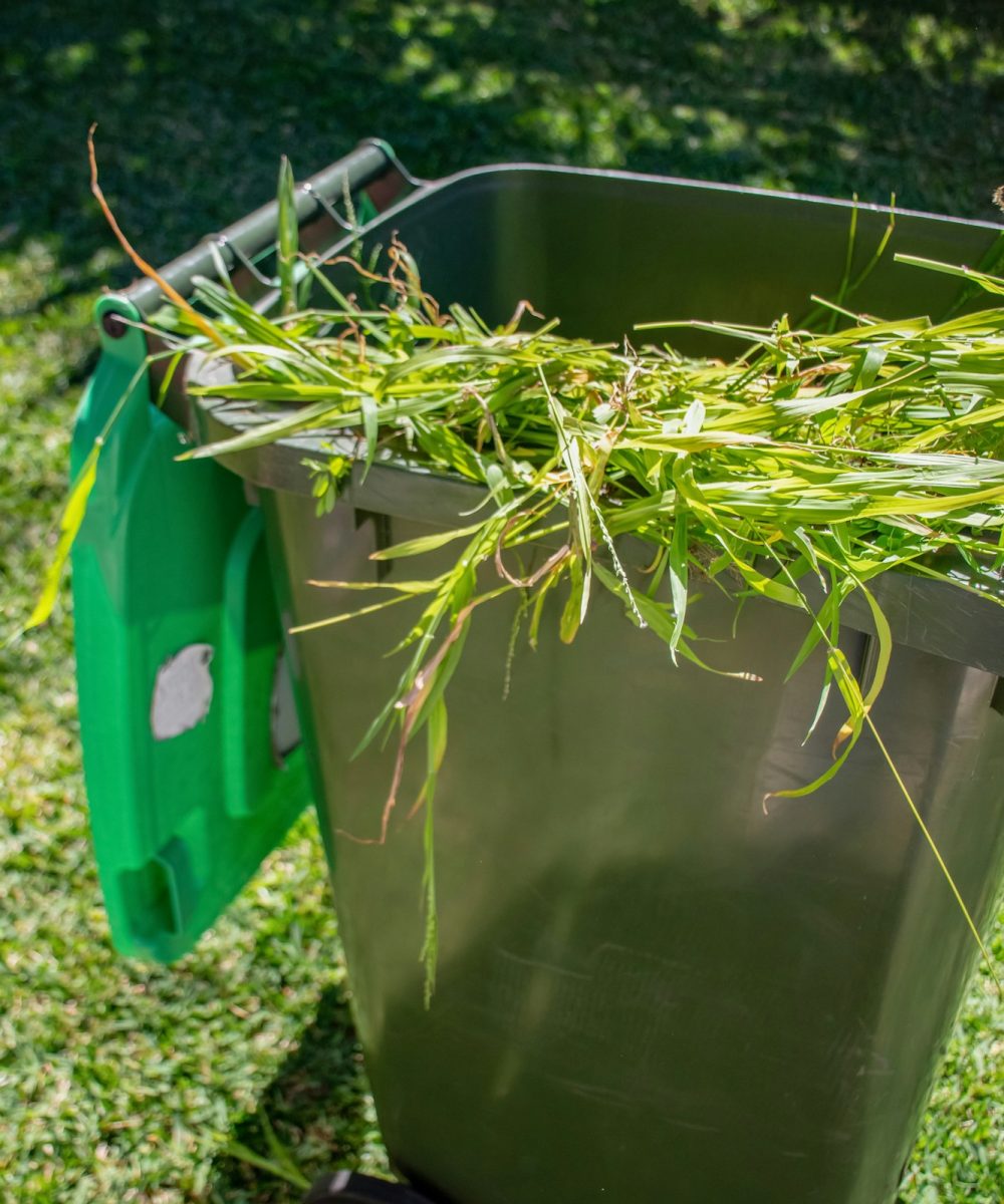 Green bin container filled with garden waste. Spring clean up in the garden.
