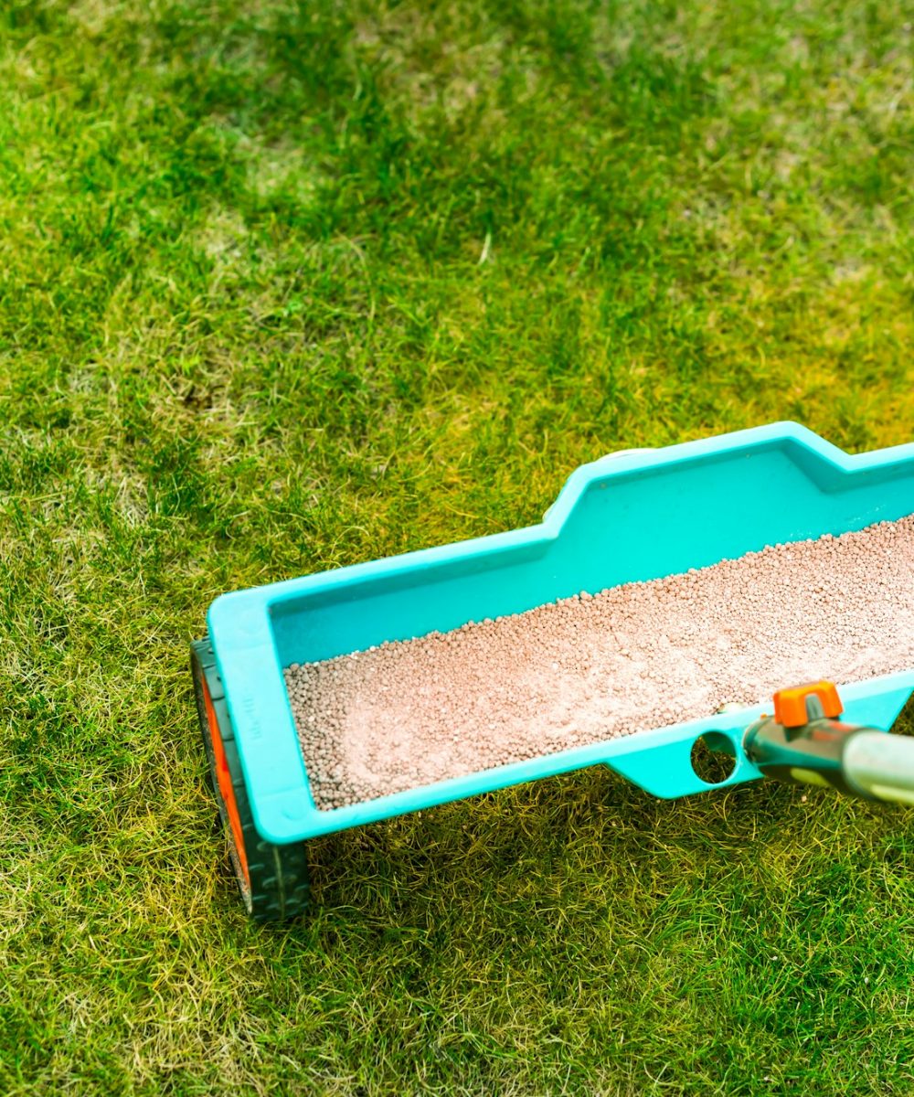 Lawn care - Lawn Spring Fertilization tool
