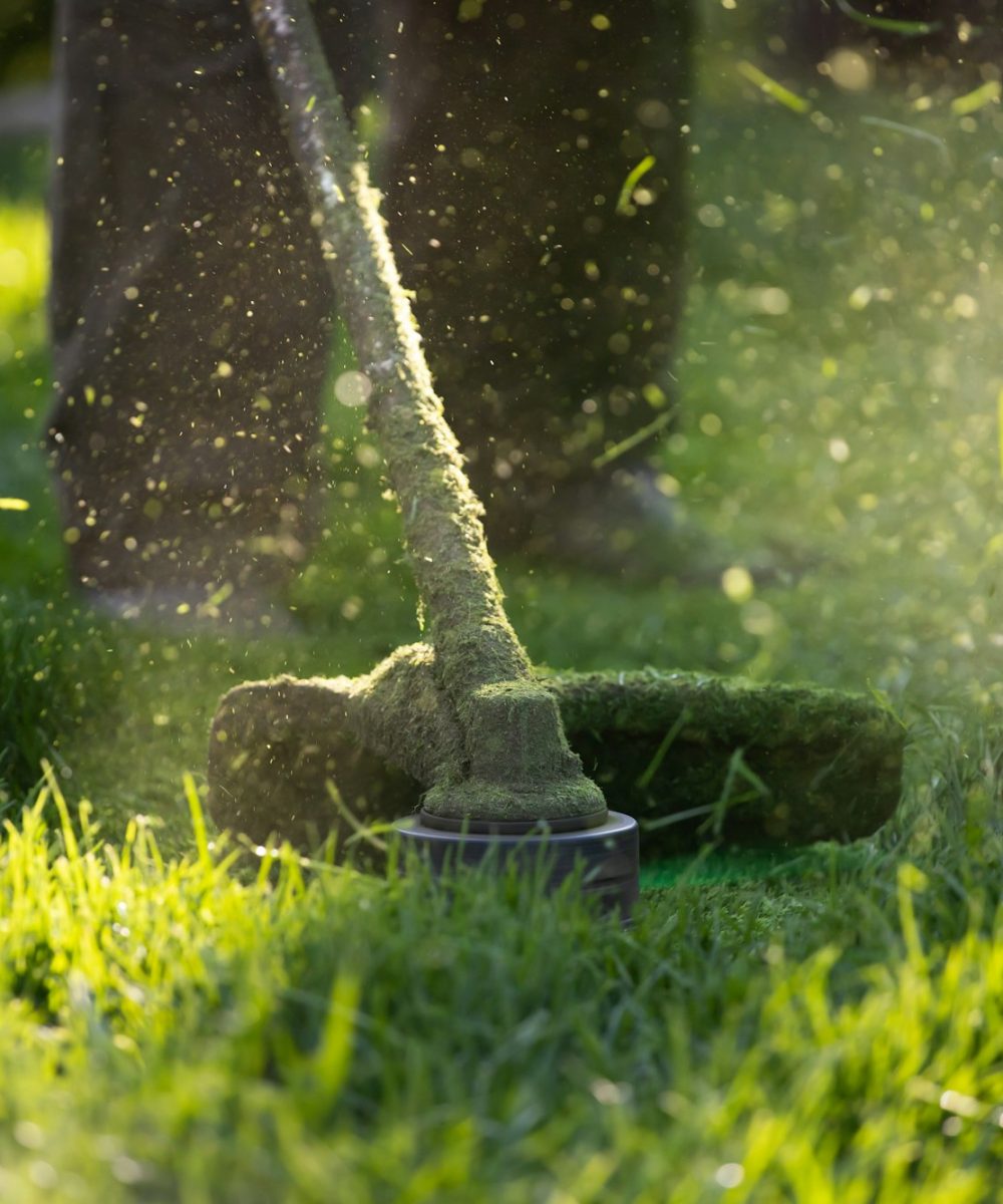 Lawn mover on green grass. Machine for cutting lawns.